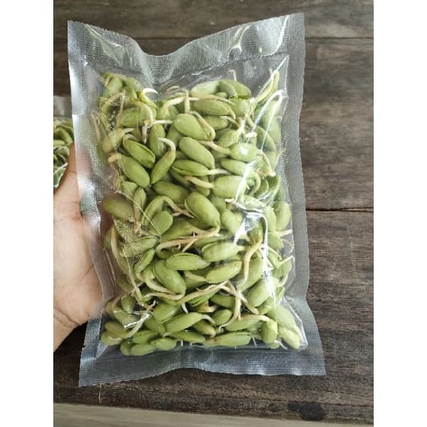 หน่อเหรียง เม็ดเหรียงเพาะ ลูกเหรียง หน่อเหรียงสดเพาะใหม่ก่อนส่ง 250กรัม กรุณาอ่านรายละเอียดก่อนสั่งสินค้าค่ะ รูปที่ 4
