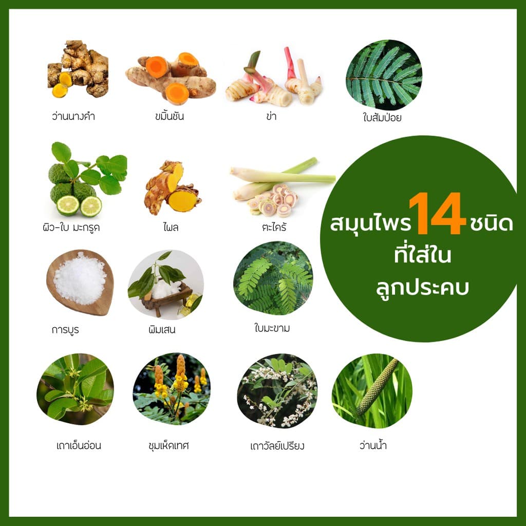 ลูกประคบหน้า ลดสิว หน้าใส ประคบนม เพิ่มน้ำนม สมุนไพร ลูกประคบ 100 กรัม ลูกประคบ 200 กรัม รูปที่ 8