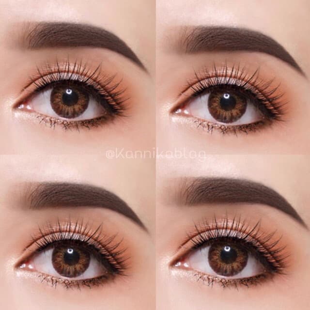 คอนแทคเลนส์ขนาดมินิBrown / Gray Mari Gaezz Secret รูปที่ 3