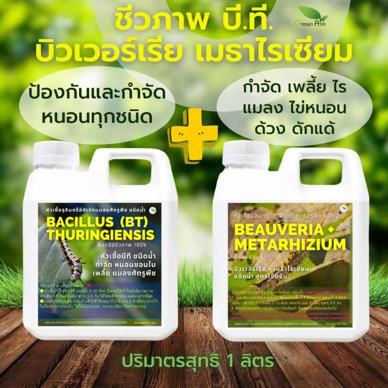 บีที BT บิวเวอร์เรีย เมธาไรเซียม ขนาด 1 ลิตร ชุด 2 แกลลอน Green Park กำจัดหนอน เพลี้ย แมลง บำรุง โตเร็ว ชีวภาพ ปลอดภัย รูปที่ 1