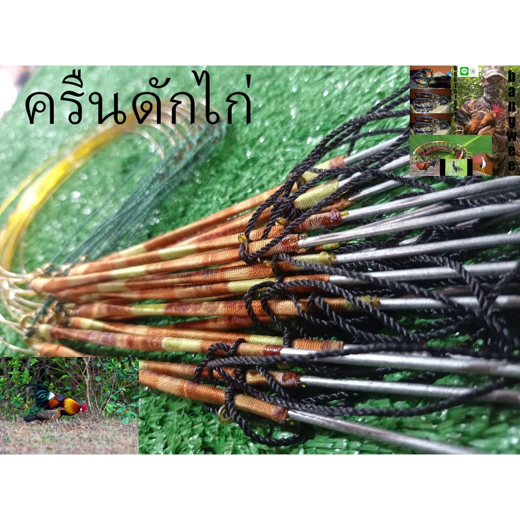 ครืนดักไก่หลักกาวาไนท์31หลัก สีน้ำตาลเหลืองแบบมีล็อค รูปที่ 5