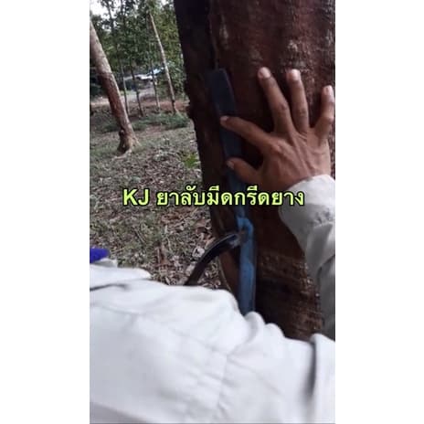เคเจชุดลับมีดกรีดยาง(ก้อนลับมีดกรีดยางขนาด280-300g+หนังวัวแท้ ยาว50-55cm กว้าง 3 cm) รูปที่ 8