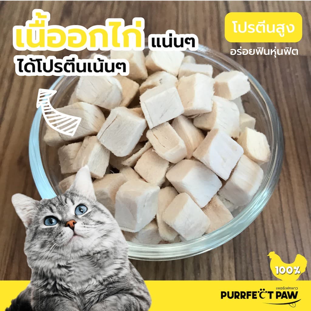 Purrfect Paw อกไก่ฟรีซดราย 100% ขนมแมวฟรีซดราย ดีต่อสุขภาพ บำรุงขน ขนมแมวไม่เค็ม Freeze dried แมว รูปที่ 7