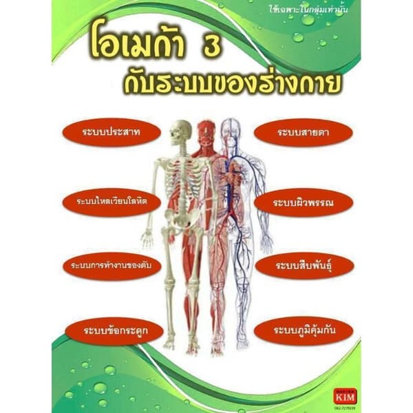 น้ํามันดาวอินคาสกัดเย็น จากบจ.นิเคโอะ สมุนไพรออแกนิกแท้จากเปรู R9 ดาวอินคา โอเมก้าออย์ อินคาออยล์ รูปที่ 5