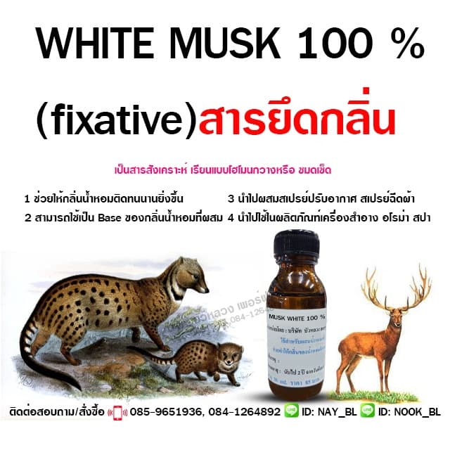 มัสค์ สารยึดกลิ่น 30 ml. WHITE MUSK 100 % ใช้สำหรับยึดกลิ่นน้ำหอม ให้อยู่นานมากขึ้น {{ }} - Bualuang Perfume รูปที่ 1