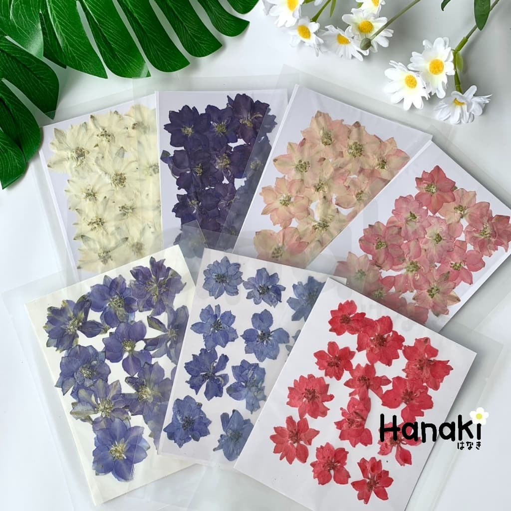 ดอกเดลฟินเนียมทับแห้ง ดอกไม้จริงทับแห้ง ดอกไม้ทับแห้ง Pressed Flowers รูปที่ 1