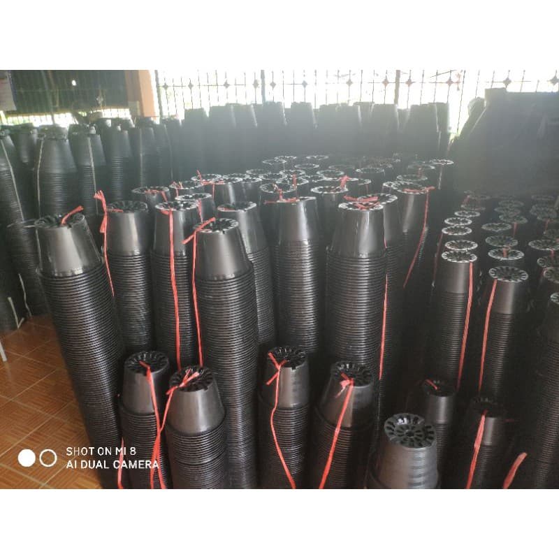 กระถางขนาด 10 นิ้ว มัด 25ใบ ราคาส่ง รูปที่ 1