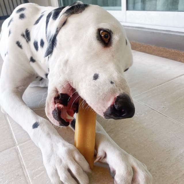 ชีสแท่งนมจามรี ไซส์ M+ /Himalayan Dog Chew Large Size รูปที่ 3