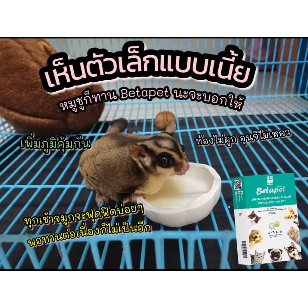 เบต้ากลูแคน Betapet อาหารเสริมสัตว์เลี้ยง งานวิจัยสวทช. เสริมภูมิคุ้มกัน 100 ml. แถมฟรี! ไซริงค์ 1 อันจ้า รูปที่ 9