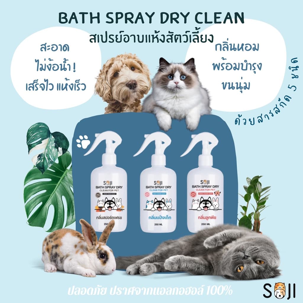 SOJI​ สเปรย์อาบน้ำแห้ง สุนัข แมว กระต่าย ดับกลิ่นสาบ แทนน้ำหอม ไม่มีแอลกอฮอล์ ขนาด​250​ml​ มี3​กลิ่น รูปที่ 2