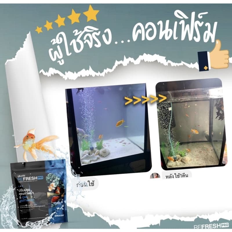 จุลินทรีย์น้ำใส บ่อปลา ตู้ปลา แบบน้ำและผง รูปที่ 9