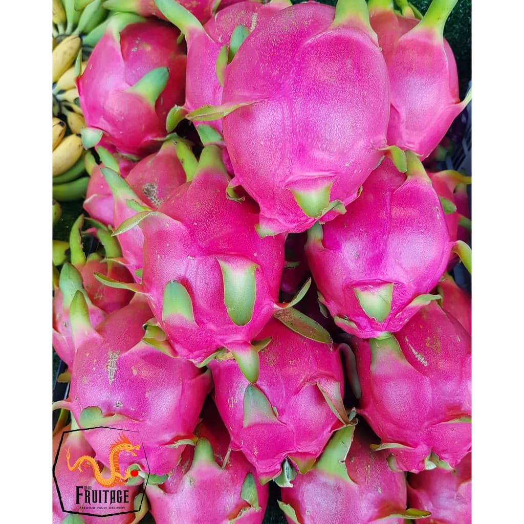 แก้วมังกร นำเข้าจากเวียดนามแท้ DRAGON FRUIT ~ลดพิเศษ~ สดใหม่ แคลอรี่ต่ำ แก้วมังกรสีขาว รูปที่ 4