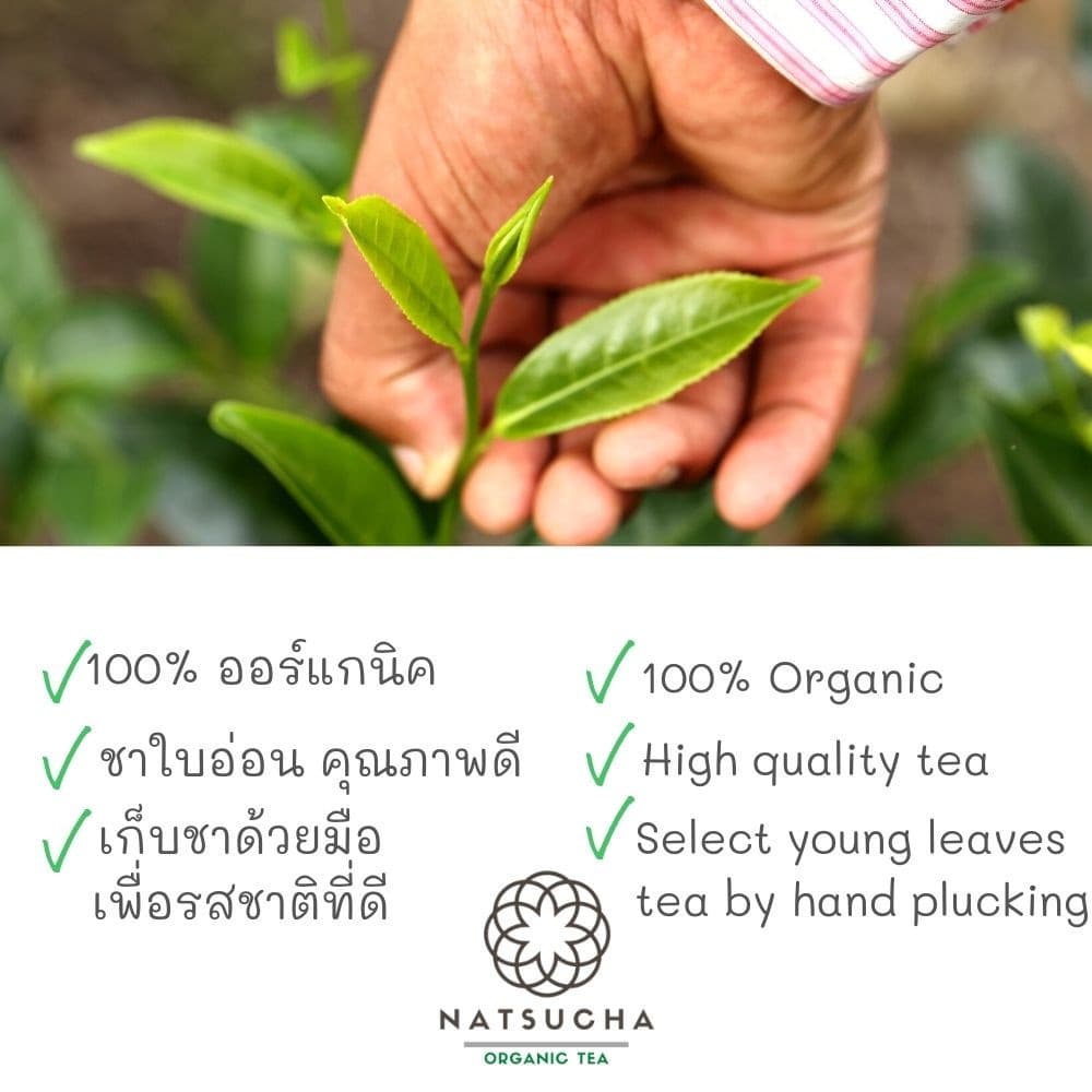 ชาพีช ชาอู่หลงพีช Peach Oolong tea ใบชาอู่หลงอย่างดีคัดเฉพาะใบอ่อน รสนุ่ม กลิ่นหอมพีช รูปที่ 5