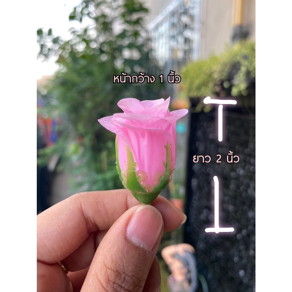 ดอกกุหลาบตูม ดอกกุหลาบวาเลนไทน์ ใหญ่ รูปที่ 2