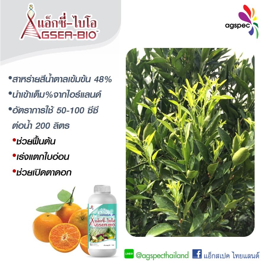 แอ็กซี่-ไบโอ สารสกัดเข้มข้นจากสาหร่ายทะเล Ascophyllum Nodosum 48% เปิดตาดอก เร่งยอด เร่งราก ขยายขนาด 500ซีซี 1ลิตร รูปที่ 5