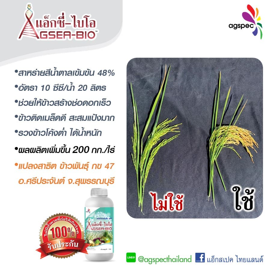 แอ็กซี่-ไบโอ สารสกัดเข้มข้นจากสาหร่ายทะเล Ascophyllum Nodosum 48% เปิดตาดอก เร่งยอด เร่งราก ขยายขนาด 500ซีซี 1ลิตร รูปที่ 3