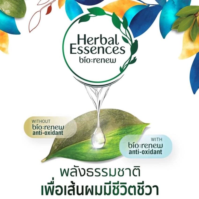 เฮอร์บัล เอสเซ้นส์ แชมพู อาร์แกนโมรอคโค 400 มล. HERBAL SHAMPOO MOROCCO ARGAN OIL 400 ML รูปที่ 5
