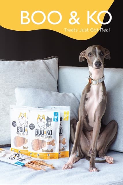 BOO&KO ขนมสุนัข ไก่อบแห้ง รสออริจินอล 60 กรัม รูปที่ 6