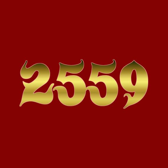 ผ้าขนหนู เกรดโรงแรม ผ้าเช็ดตัว 27x54 นิ้ว ราคาส่ง Cotton 100% รูปที่ 9