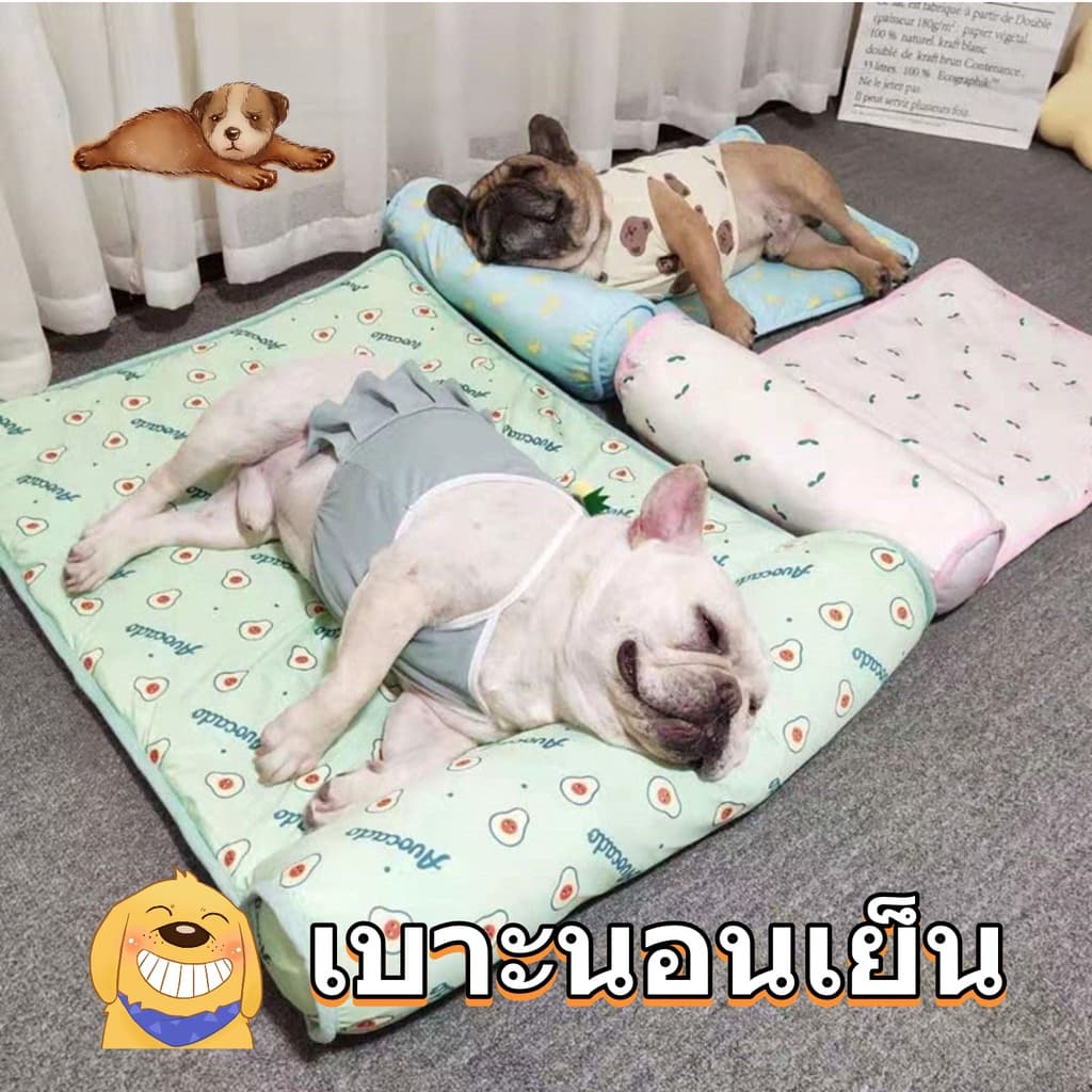 SKISOPGO Pet Cool mat แผ่นทำความเย็น แผ่นเจลเย็น ที่นอนเย็น เบาะนอนเย็น สำหรับสุนัขและแมว ขนาดS/L รูปที่ 4