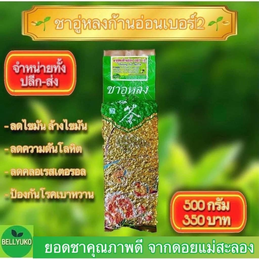 ชาอู่หลงก้านอ่อนเบอร์ 12 ยอดชา จากดอยแม่สะลอง รูปที่ 2