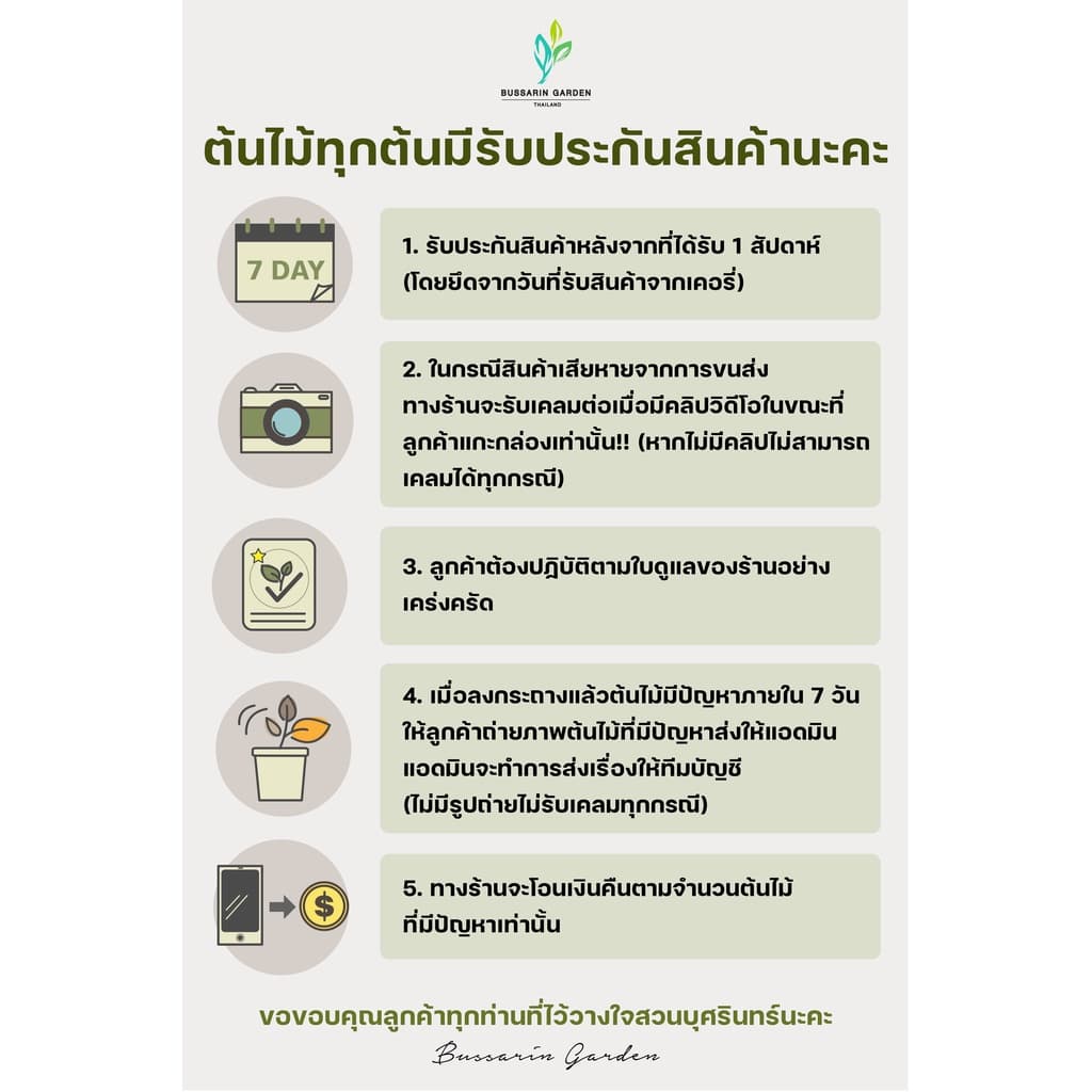 ต้นโกสนพันธุ์ สายรุ้งสยาม ไซส์ใหญ่ กระถาง 8" สูง 30-40 เซนติเมตร ซื้อ 10 แถม 1 รูปที่ 6