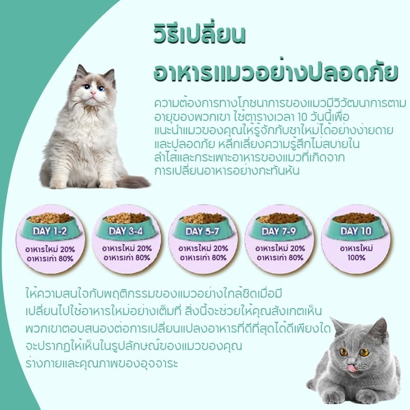 FOLOPETS อาหารแมว แบบกระป๋อง ออร์แกนิกบริสุทธิ์ จากธรรมชาติ ขนาด 430 กรัม รูปที่ 4
