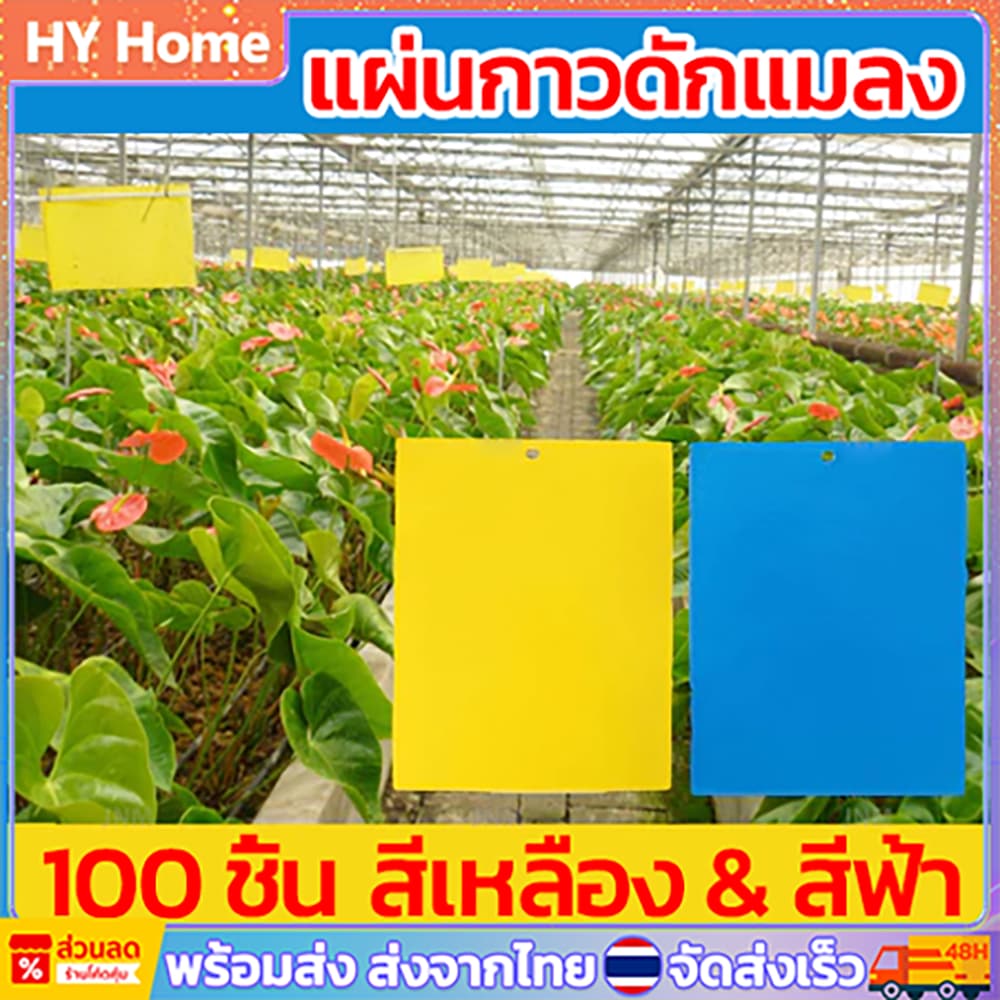 แผ่นกาวดักแมลง กาวเหนียว 2 ด้าน กาวดักแมลงวันทอง สีเหลือง สีฟ้า รูปที่ 1