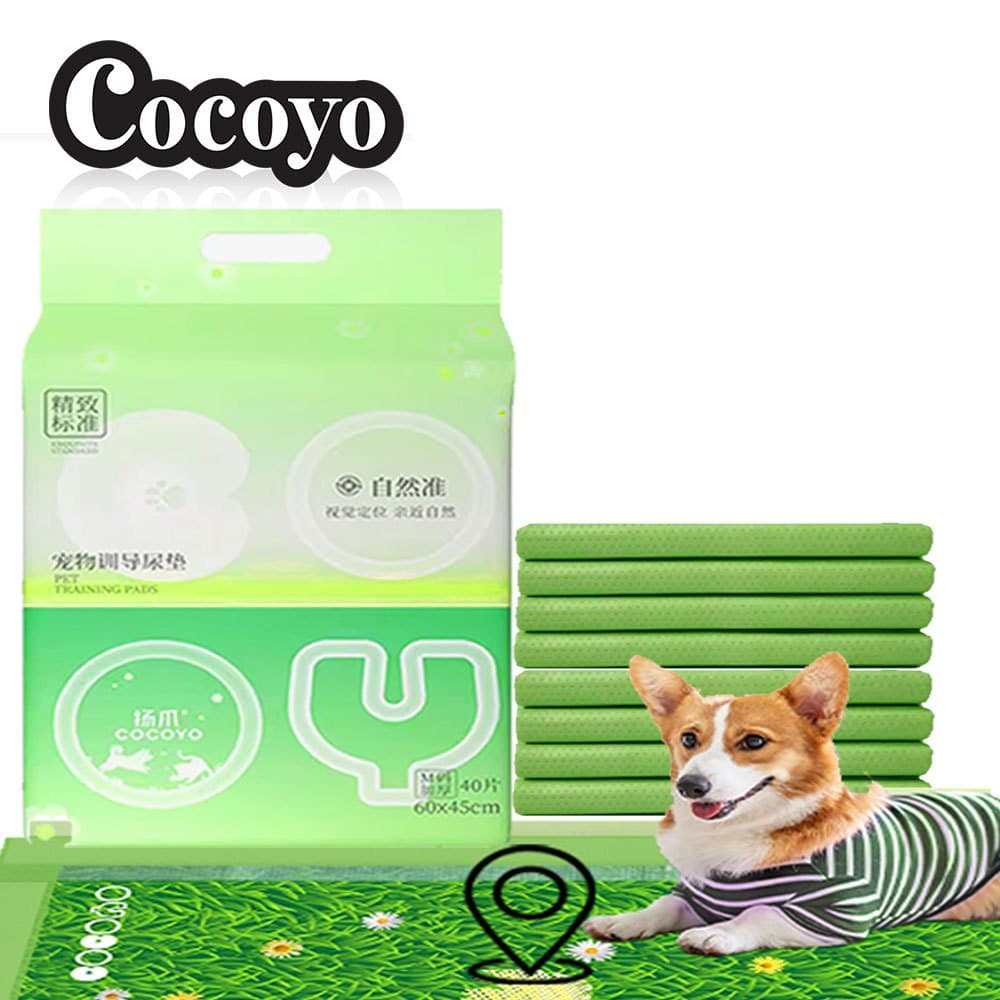 Cocoyo Pet Pad แผ่นรองฉี่สัตว์เลี้ยง ซับปัสสาวะสุนัข แมว แผ่นรองฝึกขับถ่าย ซึมซับ แผ่นรองหญ้าของจริง รูปที่ 1