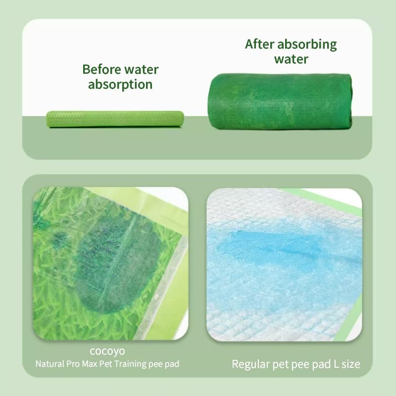 Cocoyo Pet Pad แผ่นรองฉี่สัตว์เลี้ยง ซับปัสสาวะสุนัข แมว แผ่นรองฝึกขับถ่าย ซึมซับ แผ่นรองหญ้าของจริง รูปที่ 4
