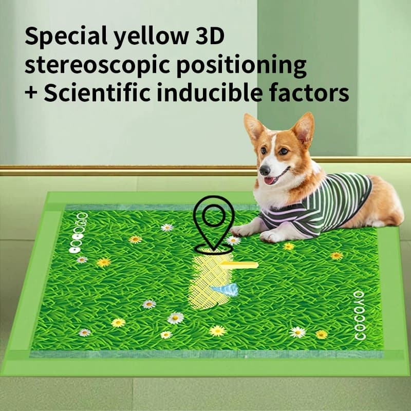 Cocoyo Pet Pad แผ่นรองฉี่สัตว์เลี้ยง ซับปัสสาวะสุนัข แมว แผ่นรองฝึกขับถ่าย ซึมซับ แผ่นรองหญ้าของจริง รูปที่ 5