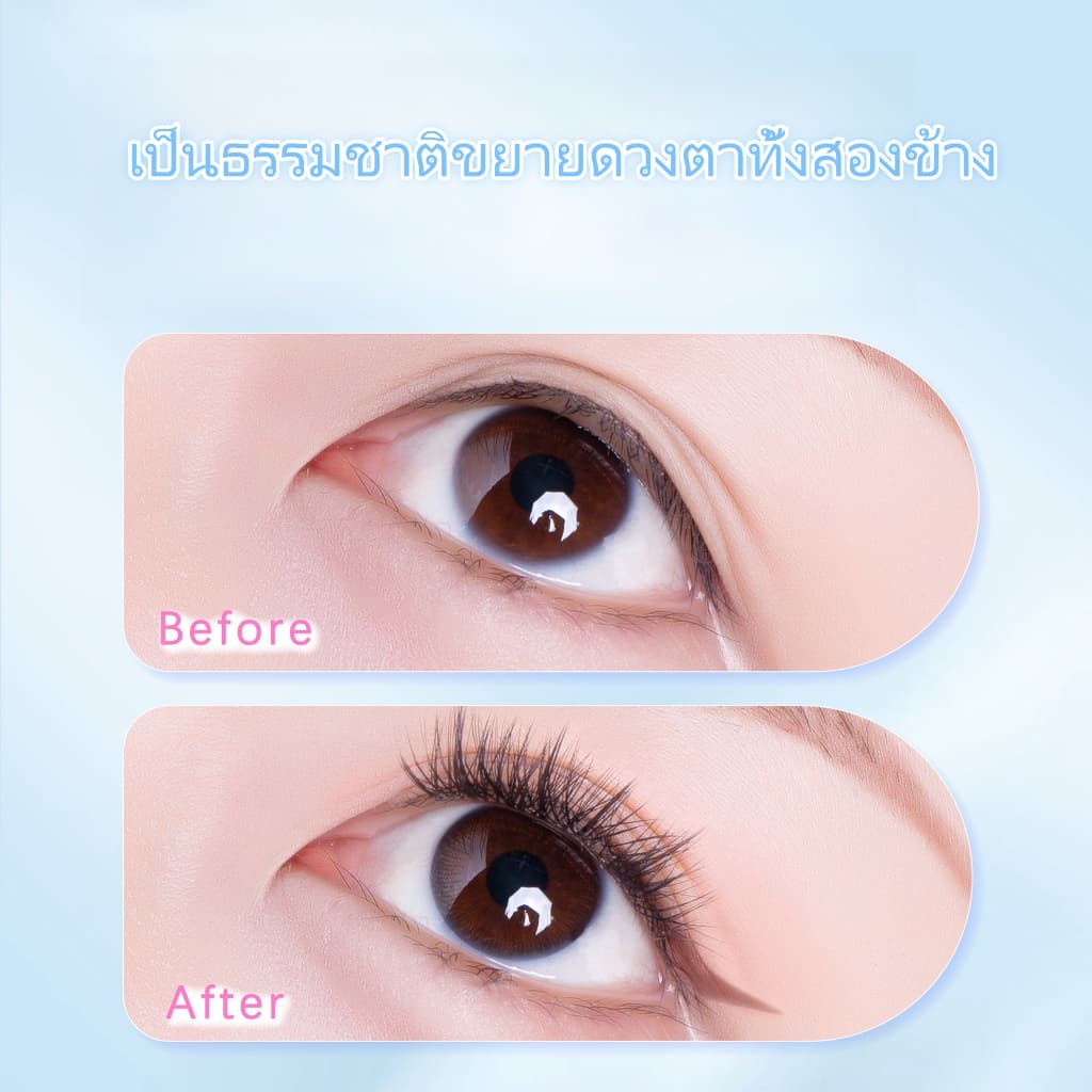 ขนตาปลอมแบบคลัสเตอร์เดี่ยว6แถว/36กระจุกขนตาแบบมีกาวในตัวเป็นธรรมชาติคุณภาพสูงนำกลับมาใช้ใหม่ได้ รูปที่ 5