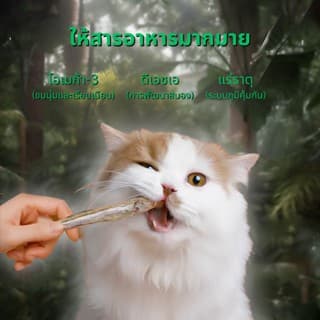 LIVE Bite Of Wild ขนมฟรีซดรายปลาไข่ 40g 2packs ขนมขบเคี้ยวแมว ขนมขบเคี้ยวสุนัข รูปที่ 5