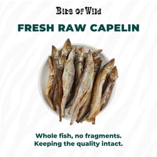 LIVE Bite Of Wild ขนมฟรีซดรายปลาไข่ 40g 2packs ขนมขบเคี้ยวแมว ขนมขบเคี้ยวสุนัข รูปที่ 2
