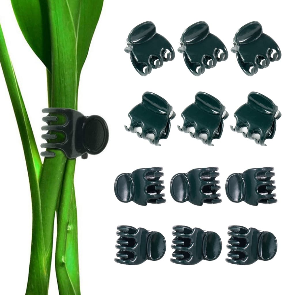 10/20/50 ชิ้นพืชปีนเขา Fix คลิปผีเสื้อ Orchid ดอกไม้สนับสนุน Clamp ผลไม้ผัก Stem Fastener รูปที่ 4