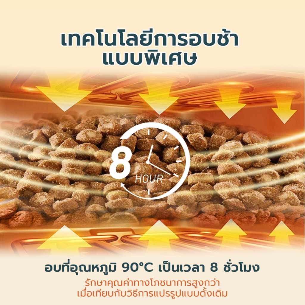 Live Bite Of Wild อาหารแมวอบช้า 5 กก. B45 ทูน่าแมว Kibbles 45% เนื้อสูง Grain-ฟรี, ลูกแมวที่เหมาะสมและแมวโต รูปที่ 2