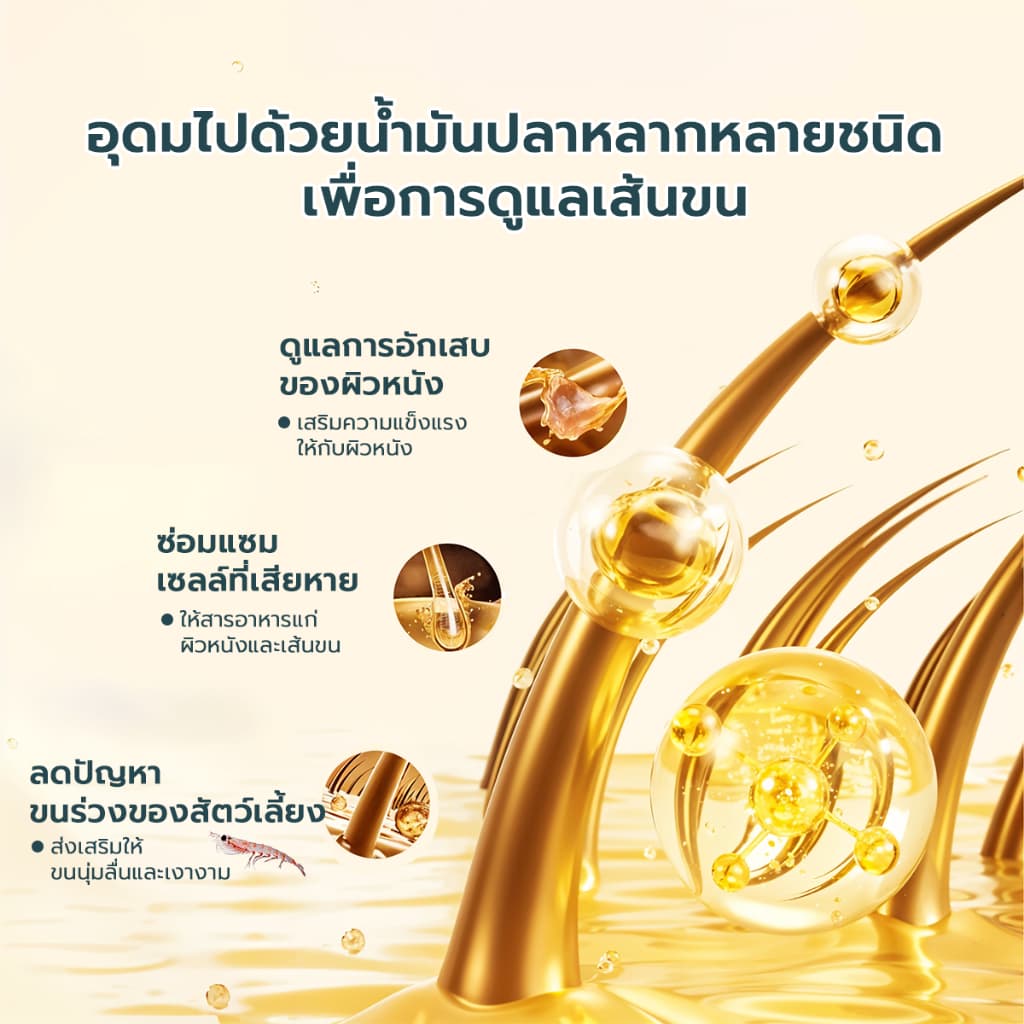 Live Bite Of Wild อาหารแมวอบช้า 5 กก. B45 ทูน่าแมว Kibbles 45% เนื้อสูง Grain-ฟรี, ลูกแมวที่เหมาะสมและแมวโต รูปที่ 5