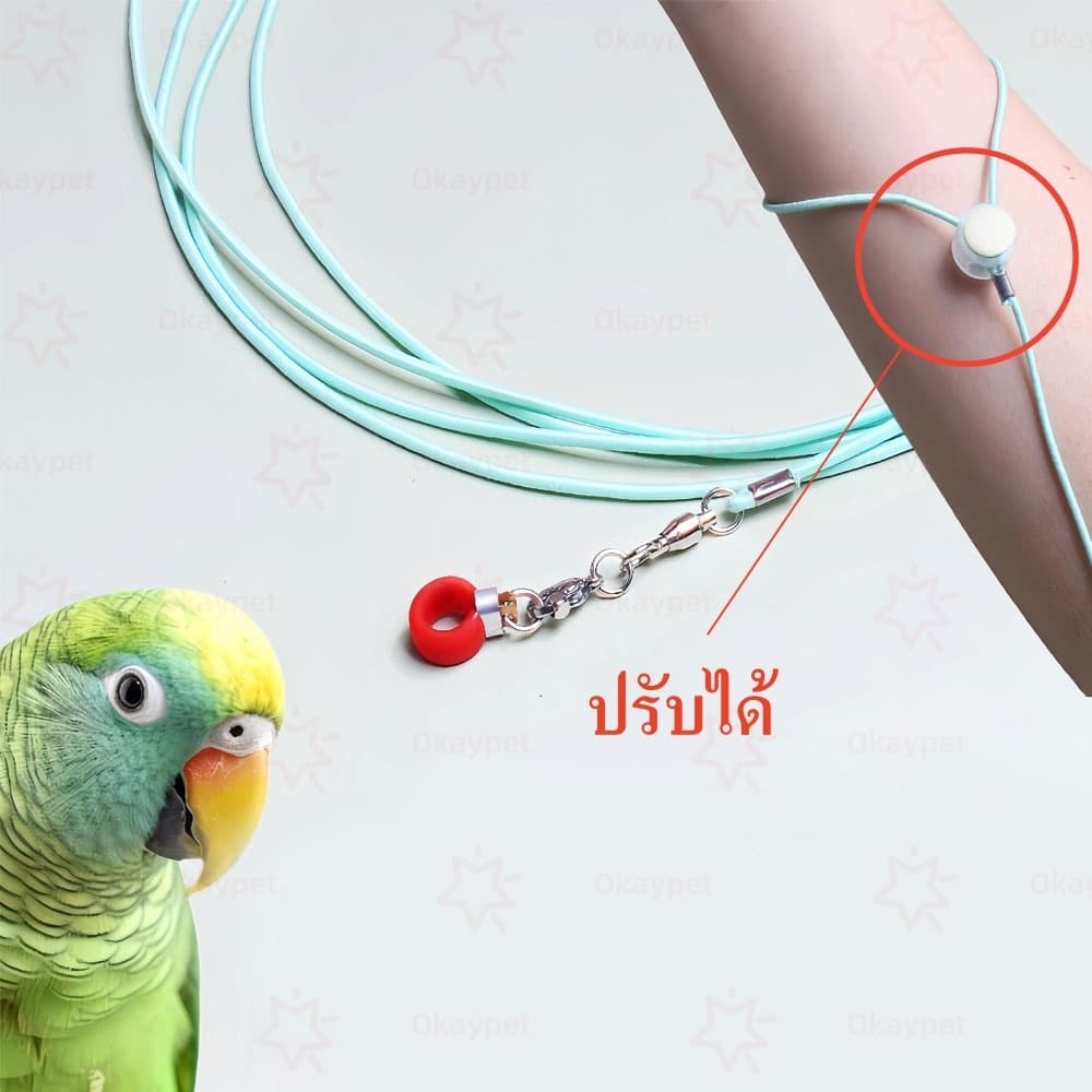 ห่วงเท้านก ห่วงขานก ห่วงซิลิโคนขานก ห่วงเปิดขานก ห่วงเปิดคล้องขานก สำหรับฟอพัส เลิฟเบิร์ด คอกคาเทล สายจูงนก รูปที่ 8