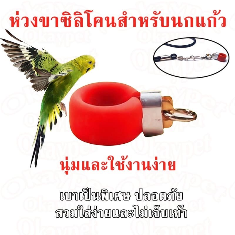 ห่วงเท้านก ห่วงขานก ห่วงซิลิโคนขานก ห่วงเปิดขานก ห่วงเปิดคล้องขานก สำหรับฟอพัส เลิฟเบิร์ด คอกคาเทล สายจูงนก รูปที่ 1
