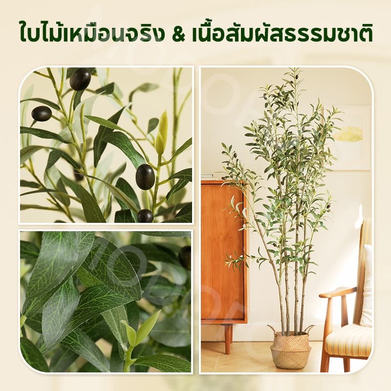MODOFO ต้นไม้ปลอม ต้นโอลีฟ 120/150/180 ซม. การตกแต่งพืช ต้นมะกอกปลอม เหมือนต้นไม้จริง รูปที่ 2