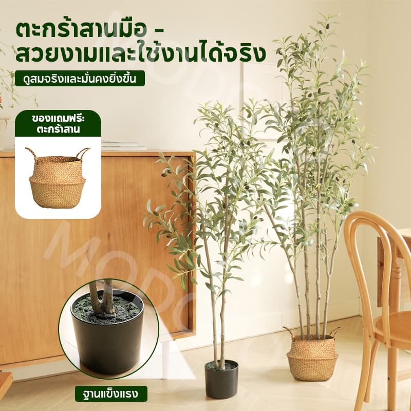 MODOFO ต้นไม้ปลอม ต้นโอลีฟ 120/150/180 ซม. การตกแต่งพืช ต้นมะกอกปลอม เหมือนต้นไม้จริง รูปที่ 4