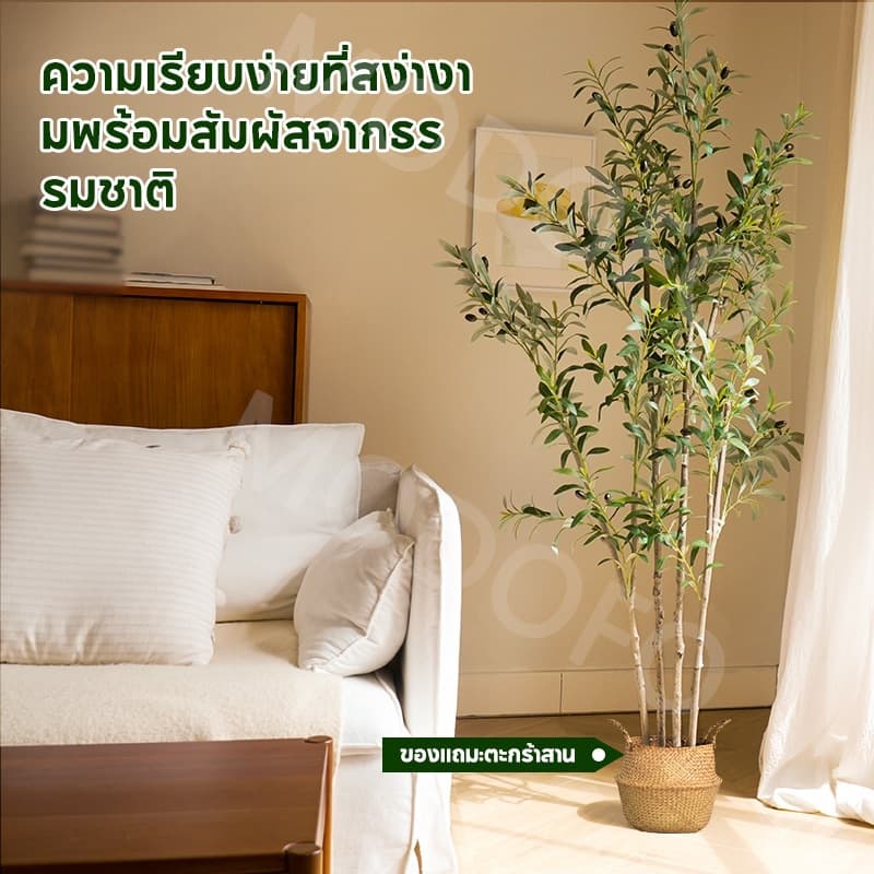 MODOFO ต้นไม้ปลอม ต้นโอลีฟ 120/150/180 ซม. การตกแต่งพืช ต้นมะกอกปลอม เหมือนต้นไม้จริง รูปที่ 6