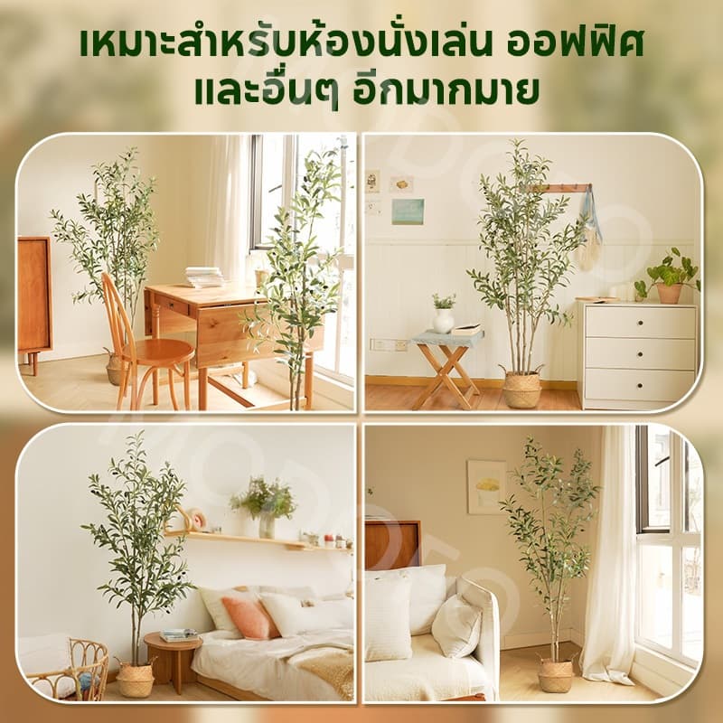 MODOFO ต้นไม้ปลอม ต้นโอลีฟ 120/150/180 ซม. การตกแต่งพืช ต้นมะกอกปลอม เหมือนต้นไม้จริง รูปที่ 9