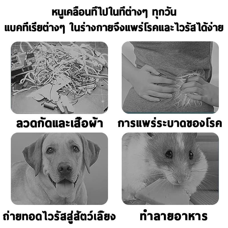 ไม่มีหนูนาน 50 ปี HB กําจัดหนู ไล่หนู ก้อนไล่หนู ยากําจัดหนู ยาไล่หนู สูตรจากพืช เหมาะสำหรับใช้ในบ้าน เจลไล่หนู อาทไล่หนู รูปที่ 7