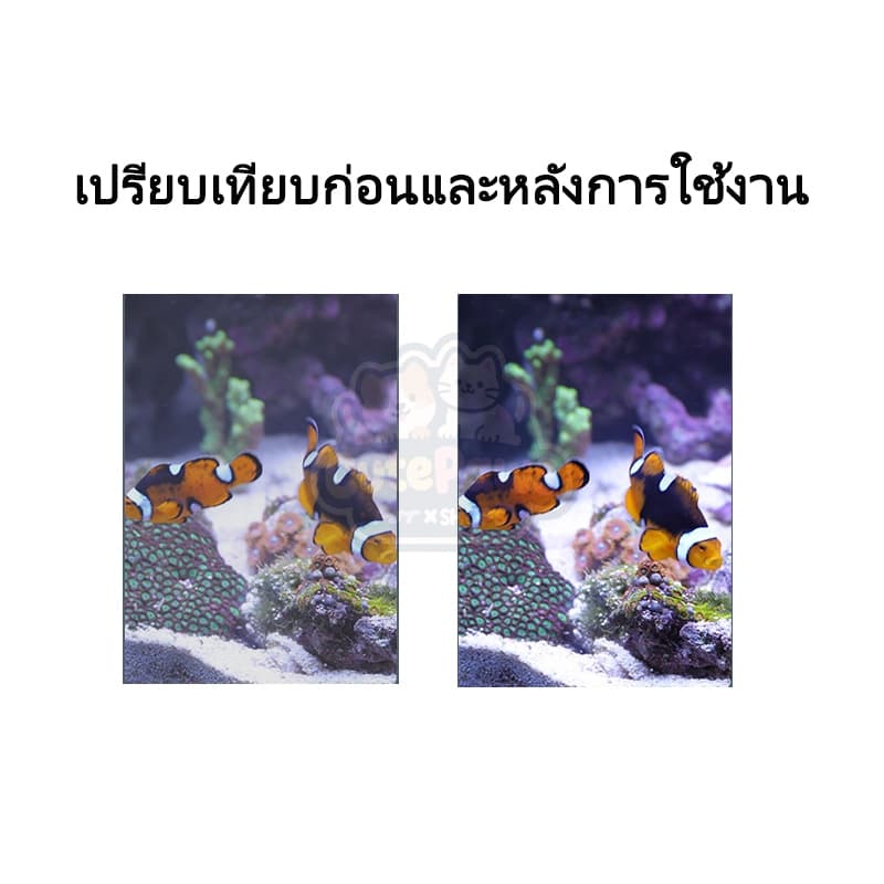 วัสดุกรองตู้ปลา 12 ใน 1 หินดูดกลิ่นตู้ปลา​ หินกรองตู้ปลา หินกรองรวม Ceramic Ring ช่วยรักษาน้ำให้ใส เหมาะสำหรับตู้ปลา สระปลา และตู้ปลา รูปที่ 6