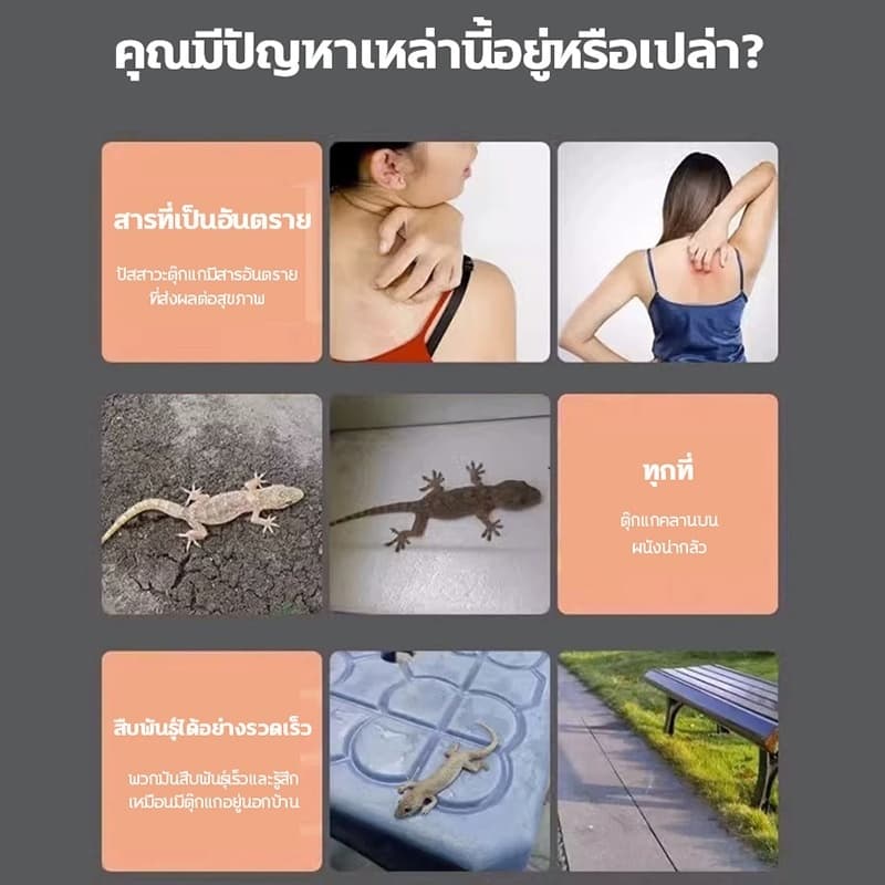 สูตรใหม่ล่าสุด! กำจัดตุ๊กแก 100% NANA ผงขับไล่จิ้งจก ไล่จิ้งจก ผงไล่ตุ๊กแก ยาไล่ตุ๊กแก ยาฆ่าจิ้งจก ใช้ได้แม้มีเด็กและสัตว์เลี้ยงในบ้าน 500g รูปที่ 3