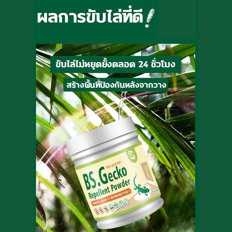 สูตรใหม่ล่าสุด! กำจัดตุ๊กแก 100% NANA ผงขับไล่จิ้งจก ไล่จิ้งจก ผงไล่ตุ๊กแก ยาไล่ตุ๊กแก ยาฆ่าจิ้งจก ใช้ได้แม้มีเด็กและสัตว์เลี้ยงในบ้าน 500g รูปที่ 4