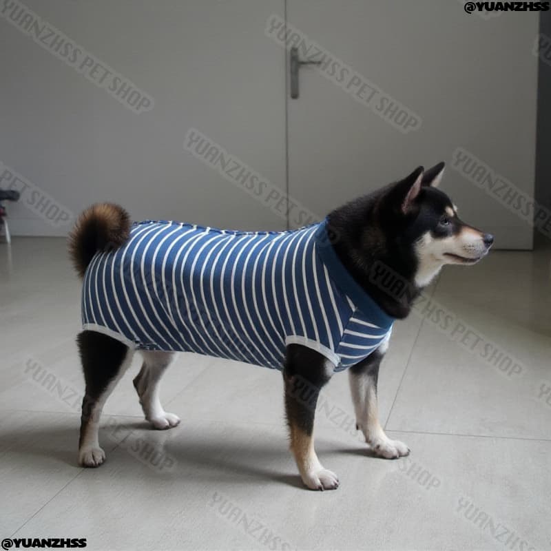 ชุดการกู้คืน Post-Surgery - การออกแบบ 4 ขายืดหยุ่นสูงสําหรับสุนัข Neutered | ใส่สัตว์เลี้ยงทางการแพทย์ระบายอากาศ รูปที่ 9