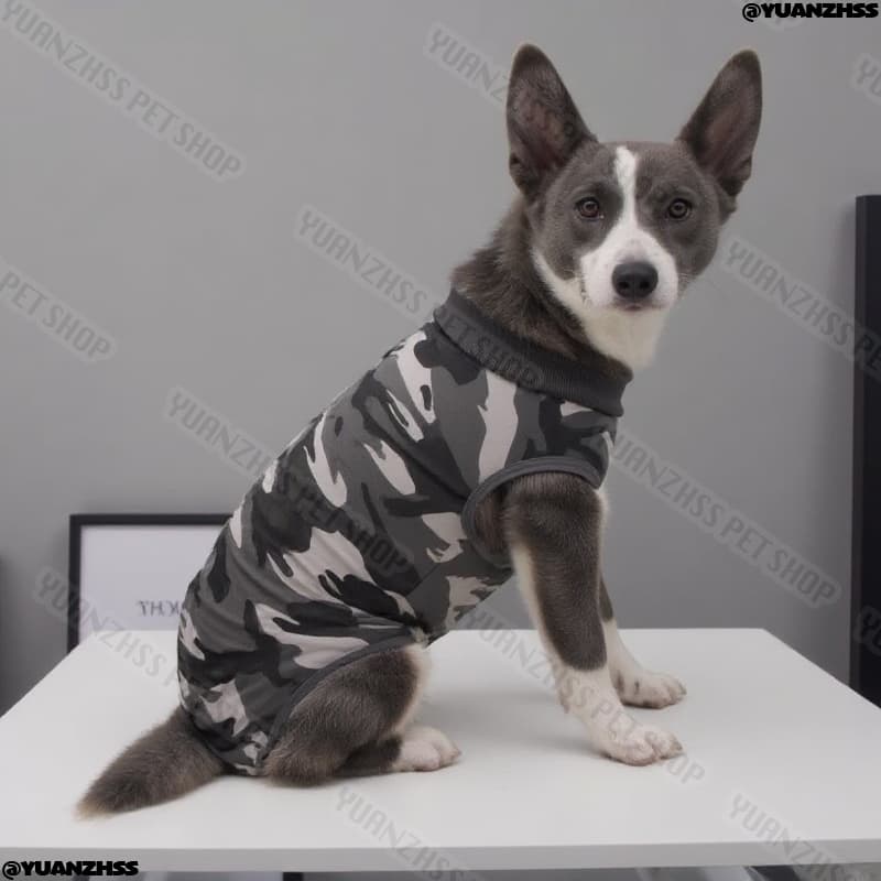 ชุดการกู้คืน Post-Surgery - การออกแบบ 4 ขายืดหยุ่นสูงสําหรับสุนัข Neutered | ใส่สัตว์เลี้ยงทางการแพทย์ระบายอากาศ รูปที่ 8