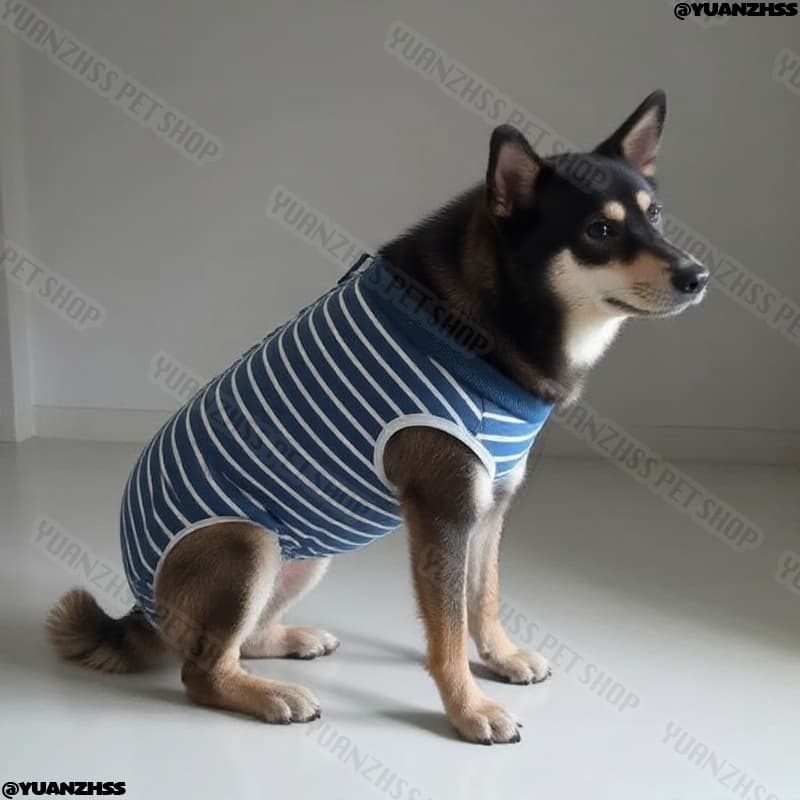 ชุดการกู้คืน Post-Surgery - การออกแบบ 4 ขายืดหยุ่นสูงสําหรับสุนัข Neutered | ใส่สัตว์เลี้ยงทางการแพทย์ระบายอากาศ รูปที่ 6